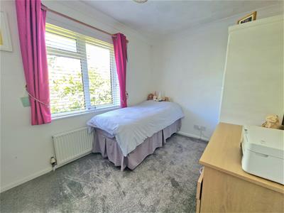 Picture 20